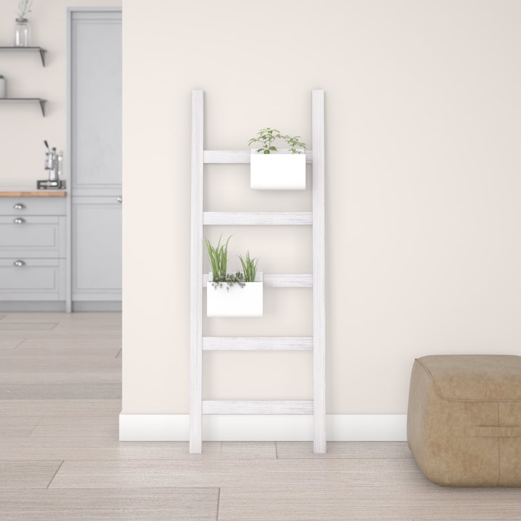 Ballucci 48'' Tall Wooden Blanket Ladder & Reviews Wayfair Canada